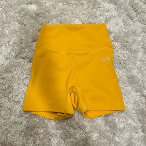 TLF Genesis High Waisted Workout Shorts